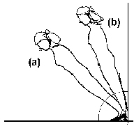 (a)穿著4吋的鞋跟高度會令身體傾斜度為45° (b)穿著2吋的鞋跟高度會令身體傾斜度為22.5°