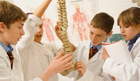 脊椎側彎的成因及治療方法