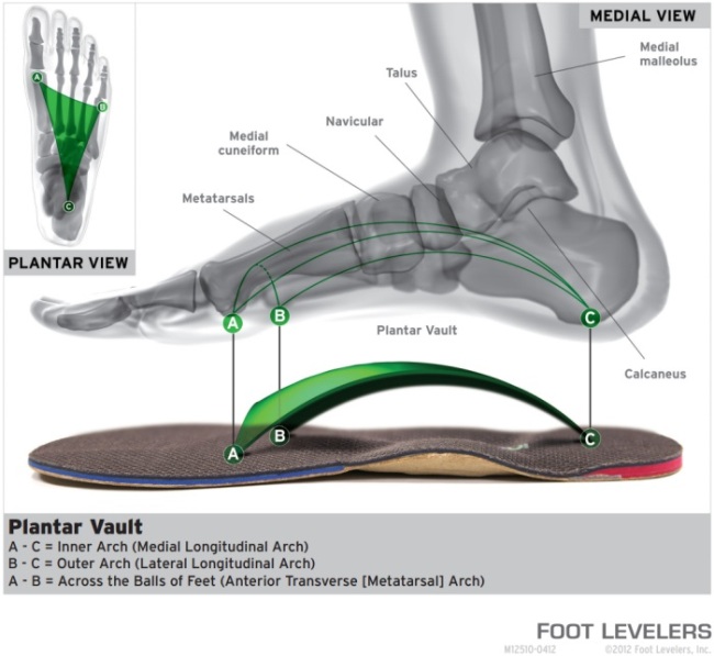 Cox® Technic | Custom-made Stabilizing Orthotics by Foot Levelers